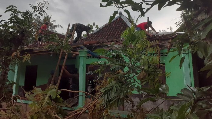 Kondisi Desa Jarum usai diterjang hujan disertai angin kencang, Jumat (22/11/2024).