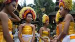 Potret Ngusaba Goreng, Ritual Syukur Panen Adat Bali