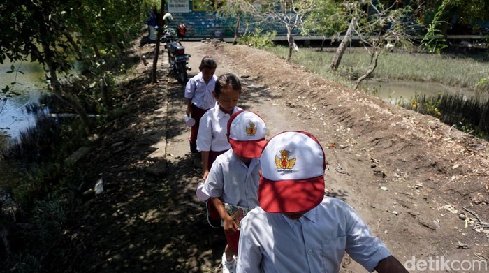 Potret perjuangan guru SD di daerah terpencil Sidoajo
