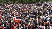 Pengunjuk rasa membawa bendera kedaulatan Maori, dengan berbagai kelompok usia dan ras menyuarakan keberpihakan mereka pada perjuangan ini.