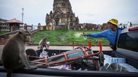 Perilaku agresif ini membuat banyak warga takut keluar rumah, memengaruhi aktivitas harian mereka. 