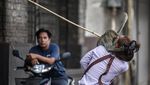 Teror Monyet Berakhir, Lopburi Kembali Aman dan Tenang