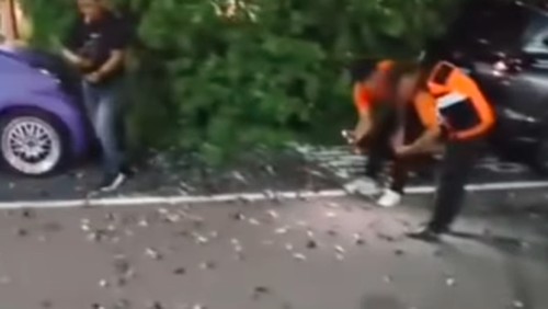 Burung pipit mati massal di Bandara Ngurah Rai, Bali. (Tangkapan layar)