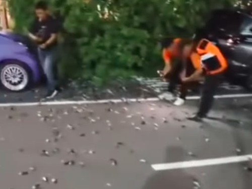 Burung pipit mati massal di Bandara Ngurah Rai, Bali. (Tangkapan layar)