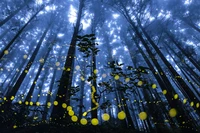 International Landscape Photographer of the Year 2024