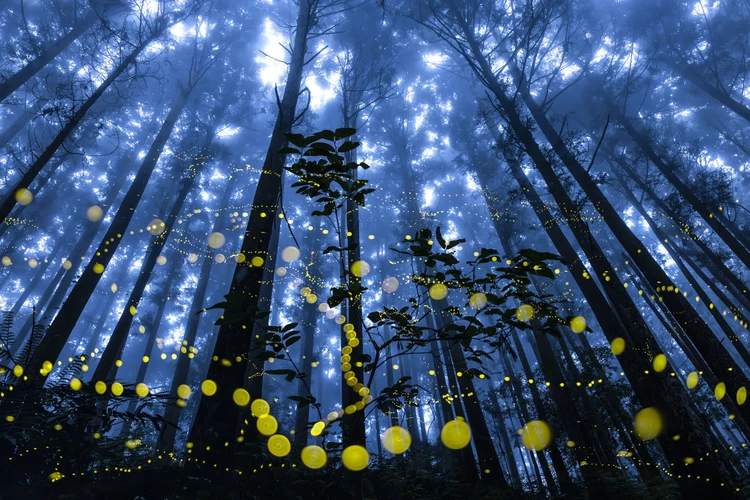 International Landscape Photographer of the Year 2024