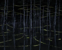 International Landscape Photographer of the Year 2024