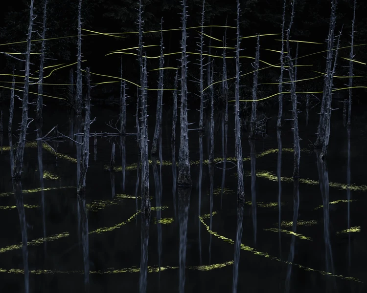 International Landscape Photographer of the Year 2024