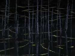 Jawara Kontes Foto Landscape yang Bikin Terpesona, Ada dari Indonesia!