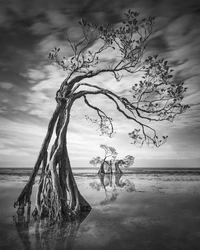 International Landscape Photographer of the Year 2024