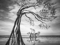 Jawara Kontes Foto Landscape yang Bikin Terpesona, Ada dari Indonesia!