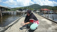 Mayoritas penduduk Desa Genting Pulur, Jemaja, Anambas, berprofesi sebagai nelayan. Kini desa tersebut telah menikmati internet.