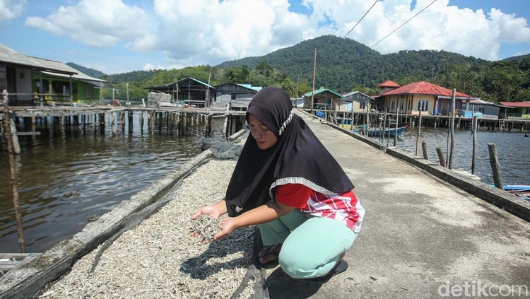 Mayoritas penduduk Desa Genting Pulur, Jemaja, Anambas, berprofesi sebagai nelayan. Kini desa tersebut telah menikmati internet.