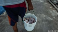 Jika cuaca sedang bagus Tabli mampu membawa pulang uang hingga Rp 800.000 lebih dengan modal Rp 40.000 untuk membeli solar penggerak pongpongnya.