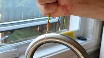 Kirain wortelnya besar, eh tau-taunya kecil sekali. Foto: (Bored Panda). Foto: (Bored Panda).