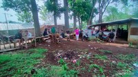 Bagian belakang kedai dengan halaman yang luas