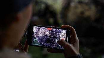 Dua pakar yang menilai rudal tersebut menyatakan bahwa senjata ini terbang dalam lintasan balistik dan menyebabkan kerusakan sipil.