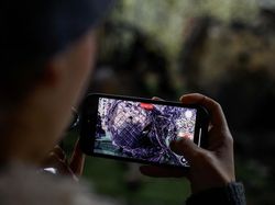 Potret Bangkai Rudal Rusia yang Mengancam Ukraina