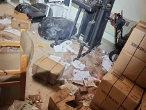 Beruang Mukbang Ransum Pangkalan Militer AS di Alaska