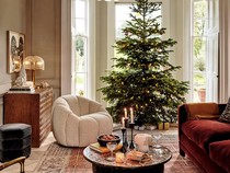 Pohon Natal Bakal Terlihat Lebih Indah Jika Dipasang di 4 Tempat Ini!