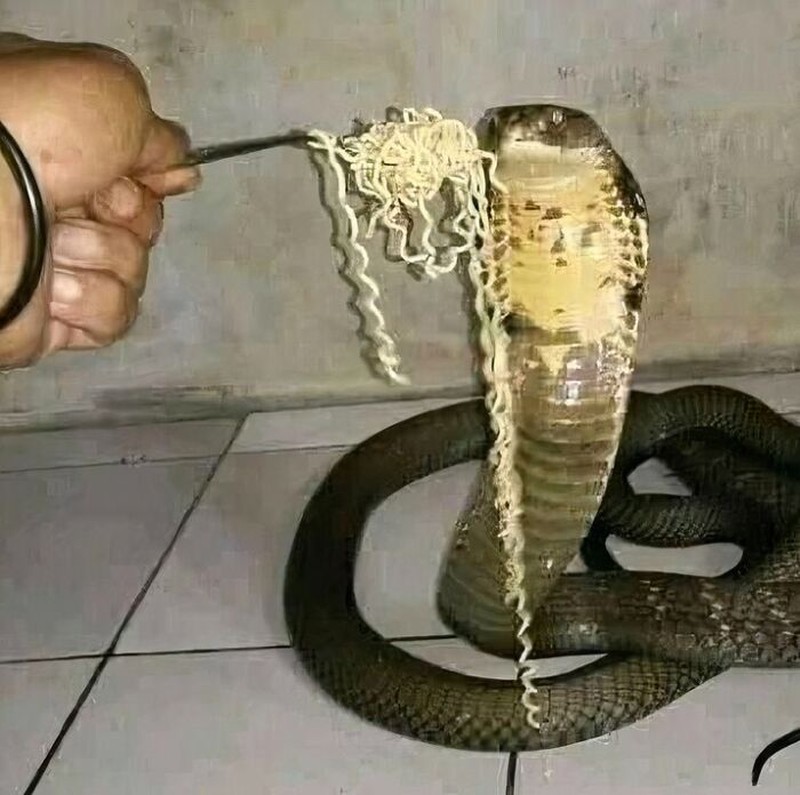 Foto Unik Kiriman Netizen