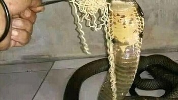 Kira-kira mau nggak ya... Foto: Demilked