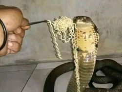 Foto Kiriman Warganet Bikin Melotot