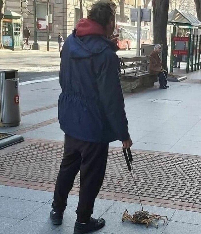 Foto Unik Kiriman Netizen