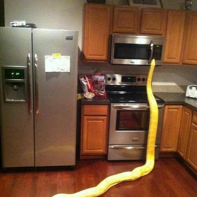 Foto Unik Kiriman Netizen