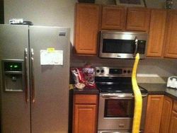 Foto Kiriman Warganet Bikin Melotot