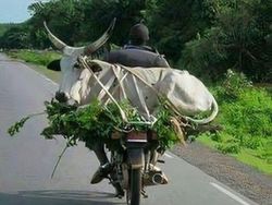 Foto Kiriman Warganet Bikin Melotot