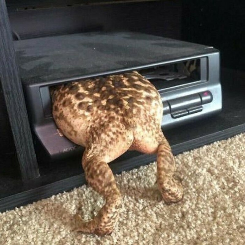 Foto Unik Kiriman Netizen