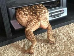 Foto Kiriman Warganet Bikin Melotot