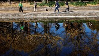 Di sepanjang taman, terdapat jalur pejalan kaki yang dihiasi dengan deretan pohon ginkgo, memberikan suasana yang sangat Instagramable bagi pengunjung.