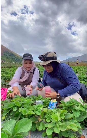 Ngakak! Wanita Ini Bawa Blender untuk Bikin Jus saat Wisata Petik Stroberi