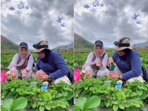 Ngakak! Wanita Ini Bawa Blender untuk Bikin Jus saat Wisata Petik Stroberi