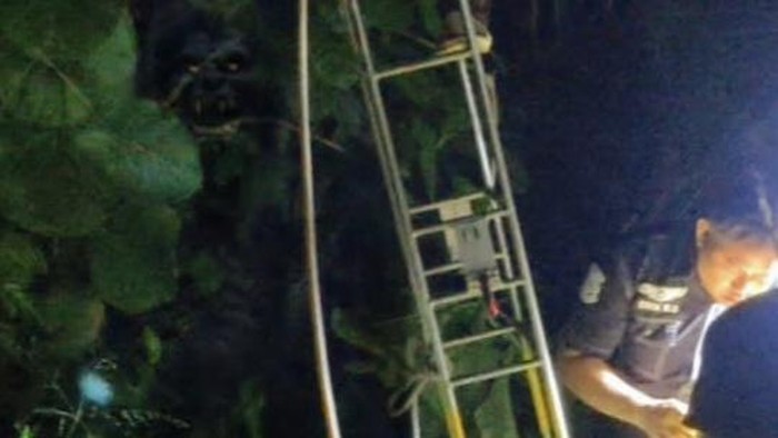 Penampakan sosok berwajah seram di Kuningan