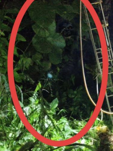 Penampakan sosok berwajah seram di Kuningan