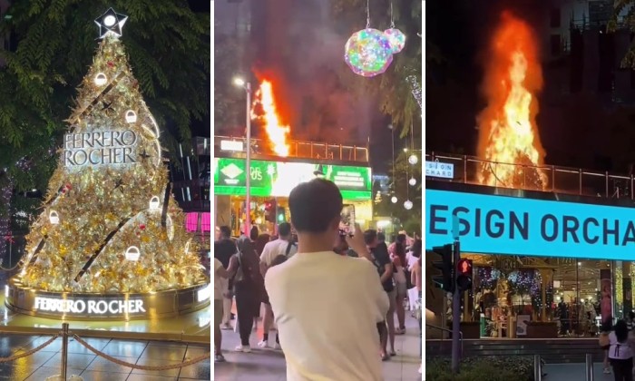 Kacau! Pohon Natal Cokelat Terbakar di Tengah Kota