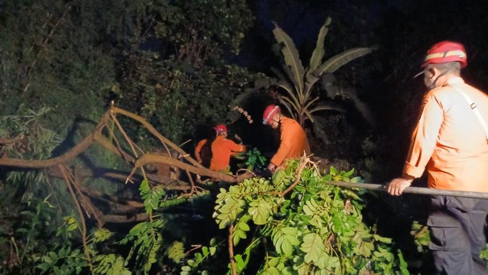 Pohon Tumbang Imbas Angin Kencang Timpa Rumah-Tutup Aliran Sungai di Bogor