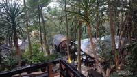 Kafe Kopi Bawah Pohon