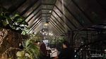 Sejenak Nikmati Sejuknya Bandung di Kafe Kopi Bawah Pohon