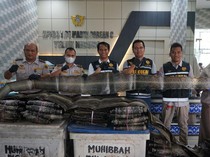 Perdagangan 846 Lembar Kulit Ular Ilegal ke Malaysia Digagalkan di Asahan