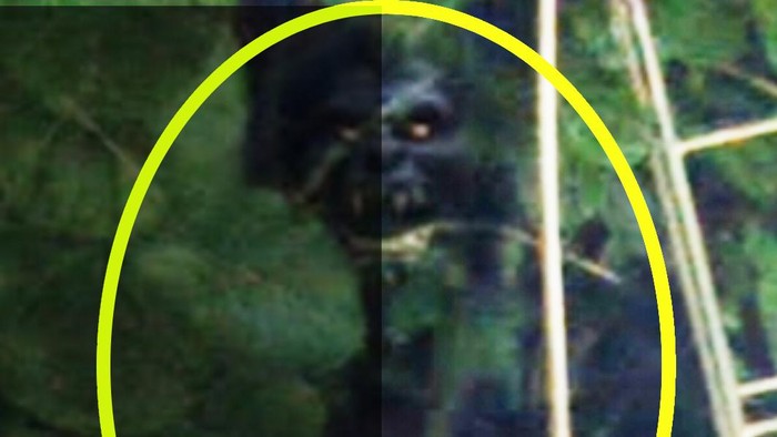 Foto yang disebut sebagai sosok makhluk seram bertaring di Kuningan