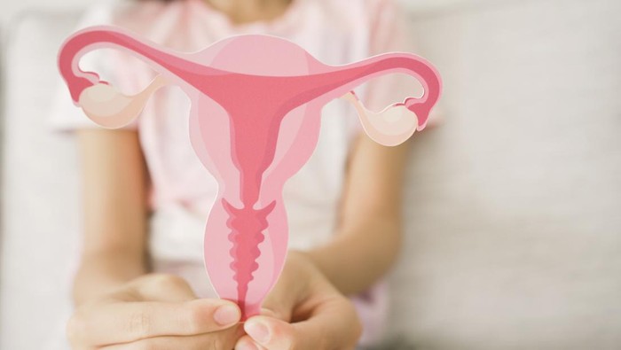 Preteen girl hands holding uterus, teen health, PCOS, first period concept