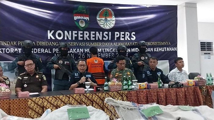 Konferensi pers KLHK terkait pengungkapan penjualan sisik trenggiling di Asahan. (Finta Rahyuni/detikSumut)