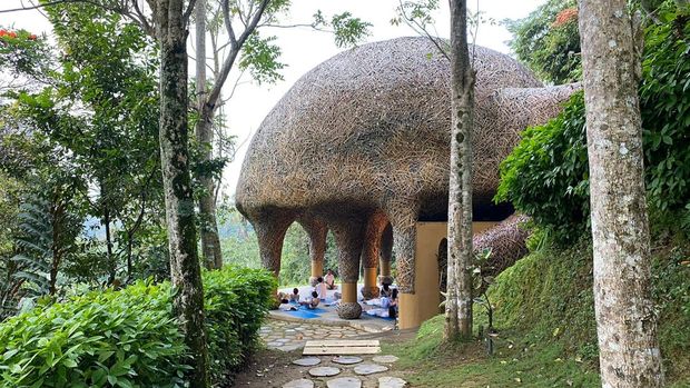 Aktivitas yang dapat dilakukan di Padma Resort Ubud.