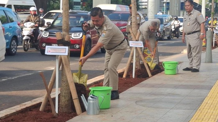 Penjabat (Pj) Gubernur DKI Jakarta Teguh Setyabudi menanam 137 pohon tabebuya