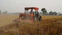 Selama dua minggu terakhir, ibu kota India telah berubah menjadi kamar gas, mencatat tingkat polusi udara yang berbahaya dan menyebabkan protes besar-besaran atas pembakaran jerami. Di desa Jaitu, Punjab, hampir 400 km dari New Delhi, para petani bekerja sama dengan Kheti Virasat Mission (KVM), sebuah LSM yang berkomitmen mempromosikan pertanian bersih dan organik, untuk beralih dari cara pembakaran residu pertanian yang mencemari menjadi mulsa.  
