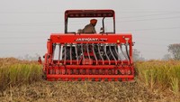 Para petani di sebuah desa kecil di Punjab, India, diam-diam memulai perubahan dari cara yang mencemari dan menyesakkan dalam membuang jerami pertanian mereka ke cara bertani yang lebih bersih, lebih hijau, dan lebih sehat. Setiap tahun, dimulainya musim dingin di India utara bertepatan dengan petani yang membakar jerami padi untuk membersihkan ladang - sebuah praktik yang memicu polusi udara di wilayah sekitar New Delhi.